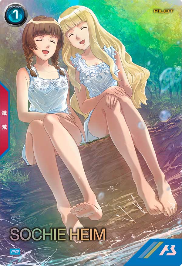 ソシエ・ハイム