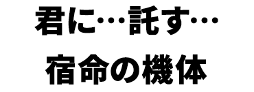 景品内容