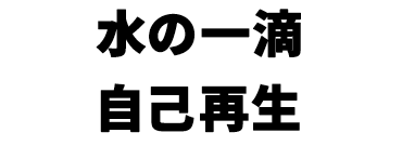 景品内容