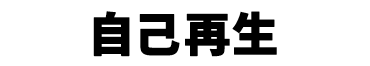 景品内容