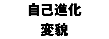 景品内容