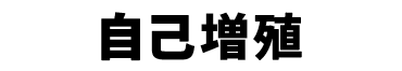 景品内容