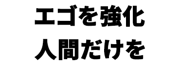 景品内容
